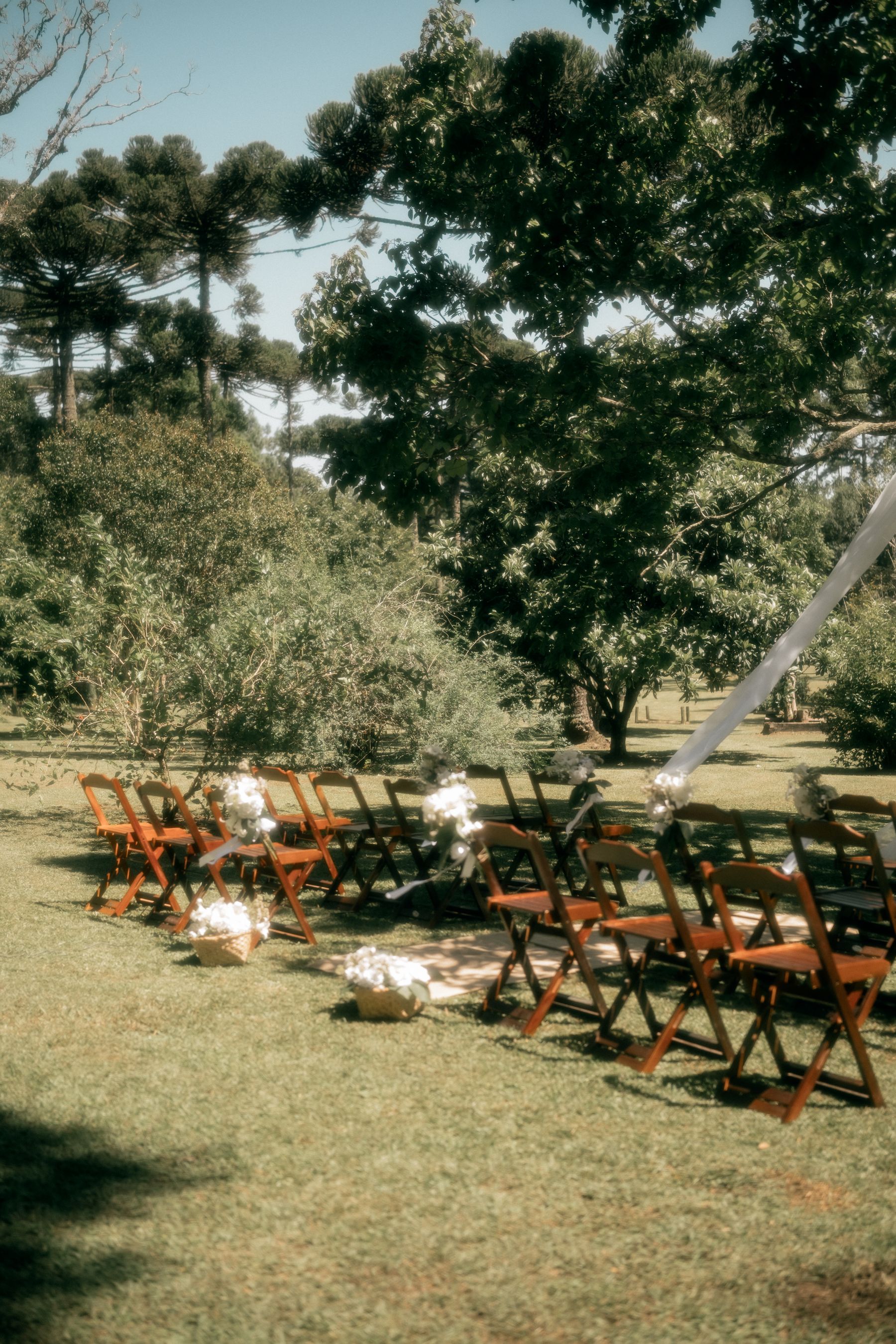 A ceremony set up outdoors under the trees