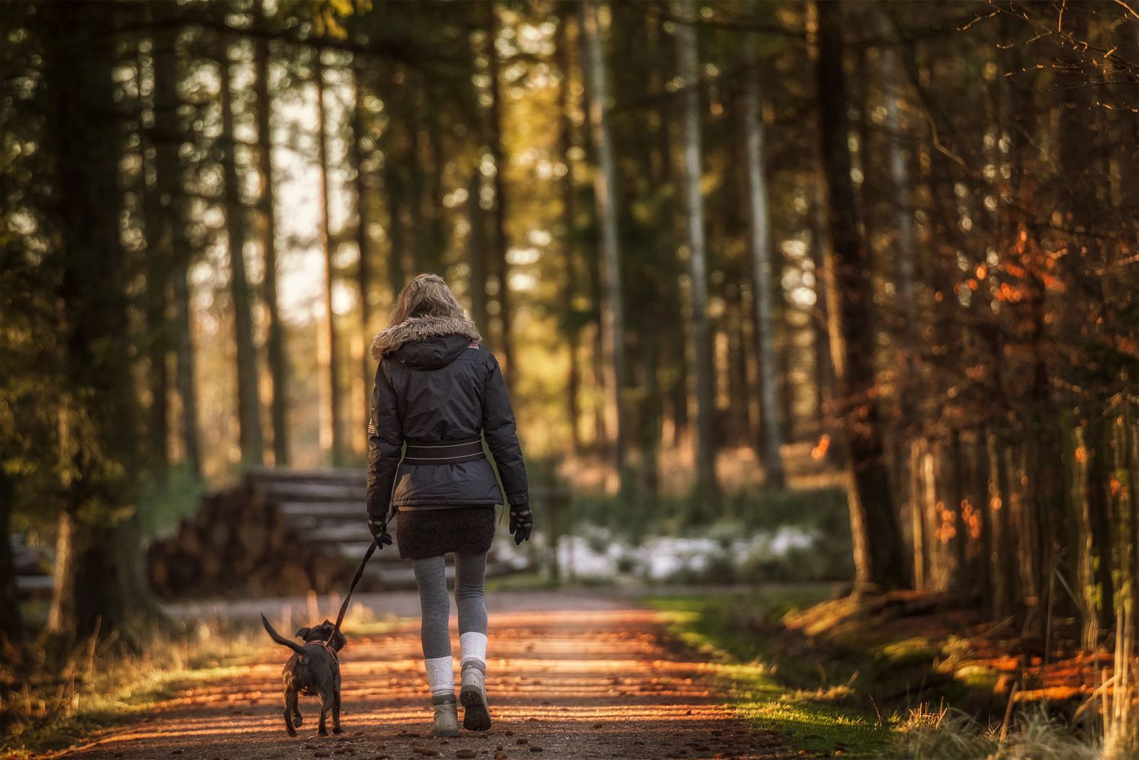 Pet Ceremonies and Blessings